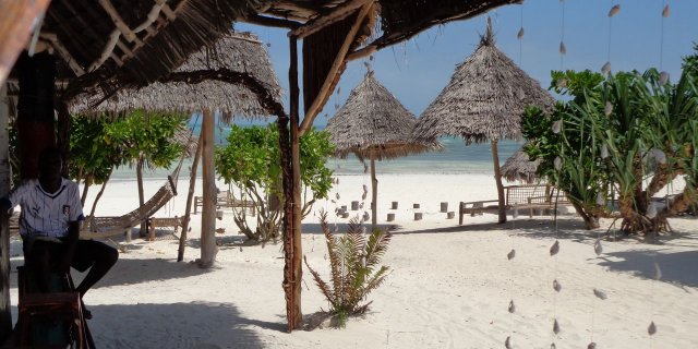 Insegnare inglese e italiano a Zanzibar
